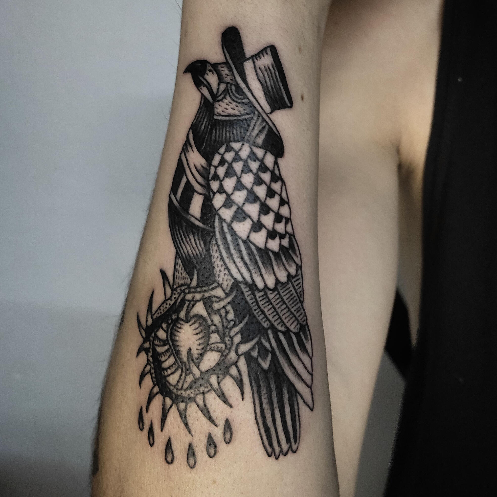 Traditional Raven from my flash