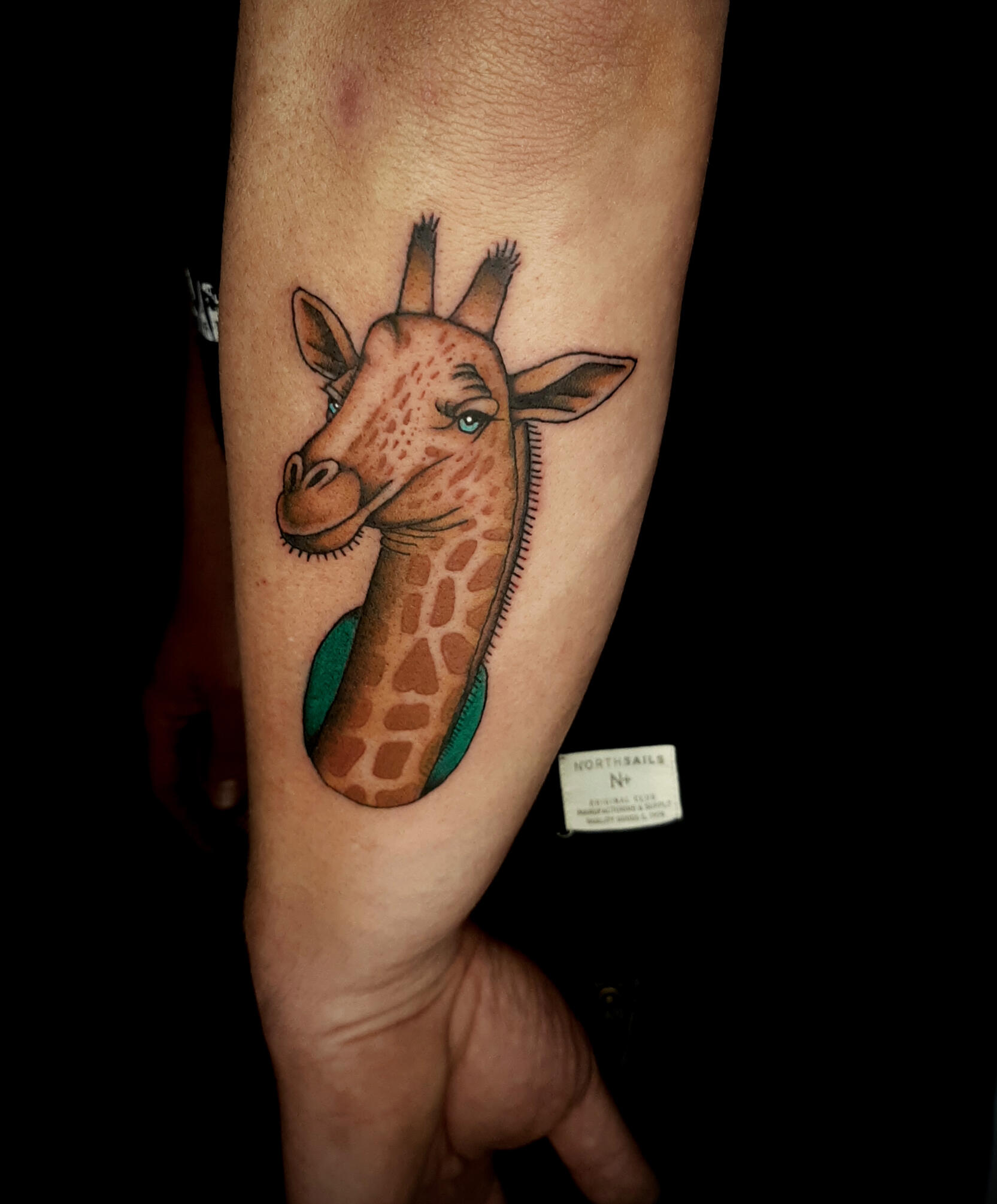 Hand drawn Giraffe