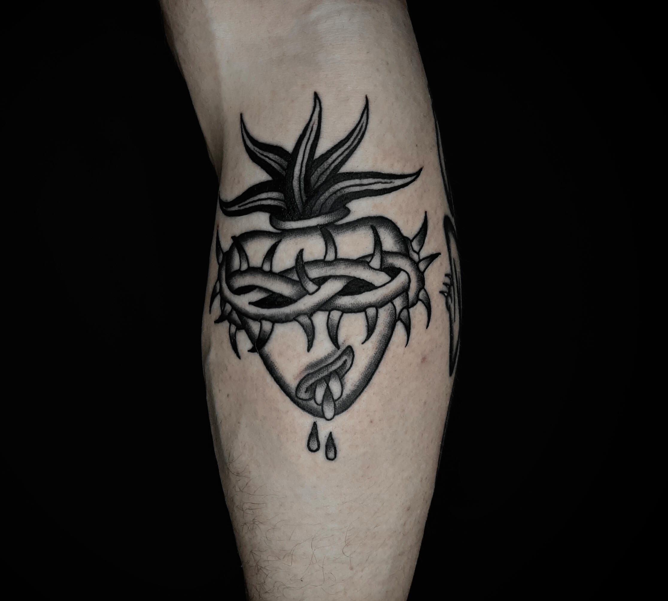 Sacred bleeding heart